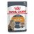 Royal Canin Intense Beauty in Gravy Cat Food