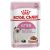 Royal Canin Kitten Instinctive in Gravy