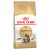 Royal Canin Maine Coon Adult Dry Cat Food