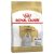 Royal Canin Maltese Adult Dry Dog Food