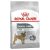 Royal Canin Mini Dental Care Dry Dog Food