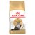 Royal Canin Persian Adult Dry Cat Food