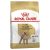 Royal Canin Poodle Adult Dry Dog Food