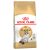 Royal Canin Ragdoll Adult Dry Cat Food