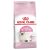 Royal Canin Kitten Dry Food