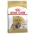 Royal Canin Shih Tzu Adult Dry Dog Food