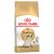 Royal Canin Siamese Adult Dry Cat Food