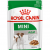 Royal Canin Mini Adult Dog Wet Food