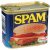 Spam Ham Regular