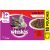 Whiskas Cat Food With Beef In Gravy