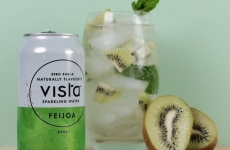 Kiwi and Feijoa Muddle (Non-alcoholic)