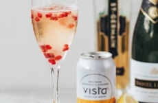 Pomegranate and Lemon Spritzer